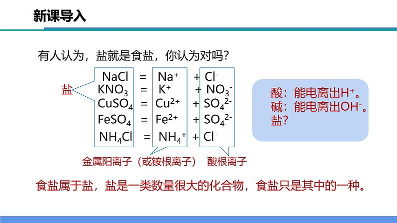 【浙教版】九上科学  1.6 几种重要的盐（第1课时）（课件+教案+同步练习+导学案）04