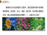 【浙教版】八上科学  3.1 植物生命活动的调节（第1课时）（课件+教案+导学案+同步练习）