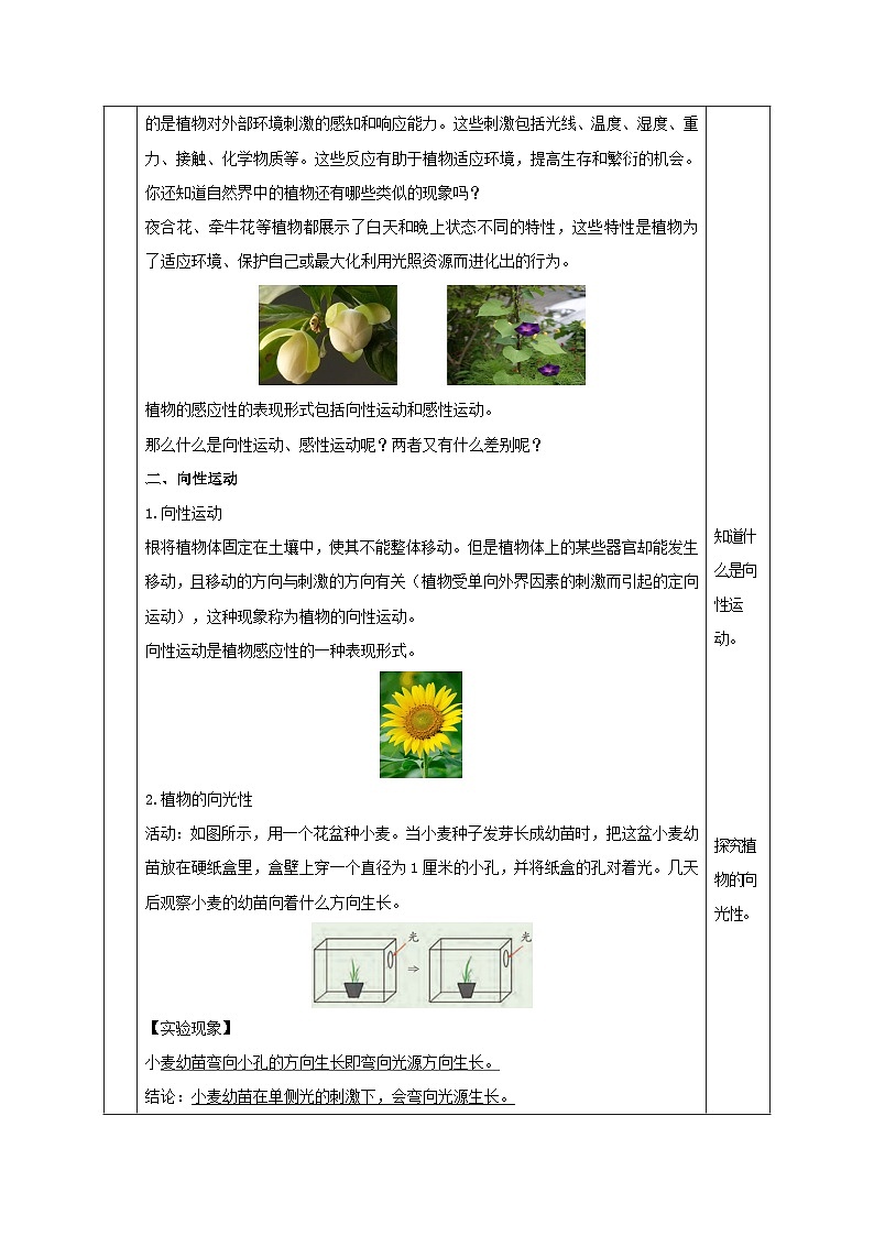 【浙教版】八上科学  3.1 植物生命活动的调节（第1课时）（课件+教案+导学案+同步练习）03