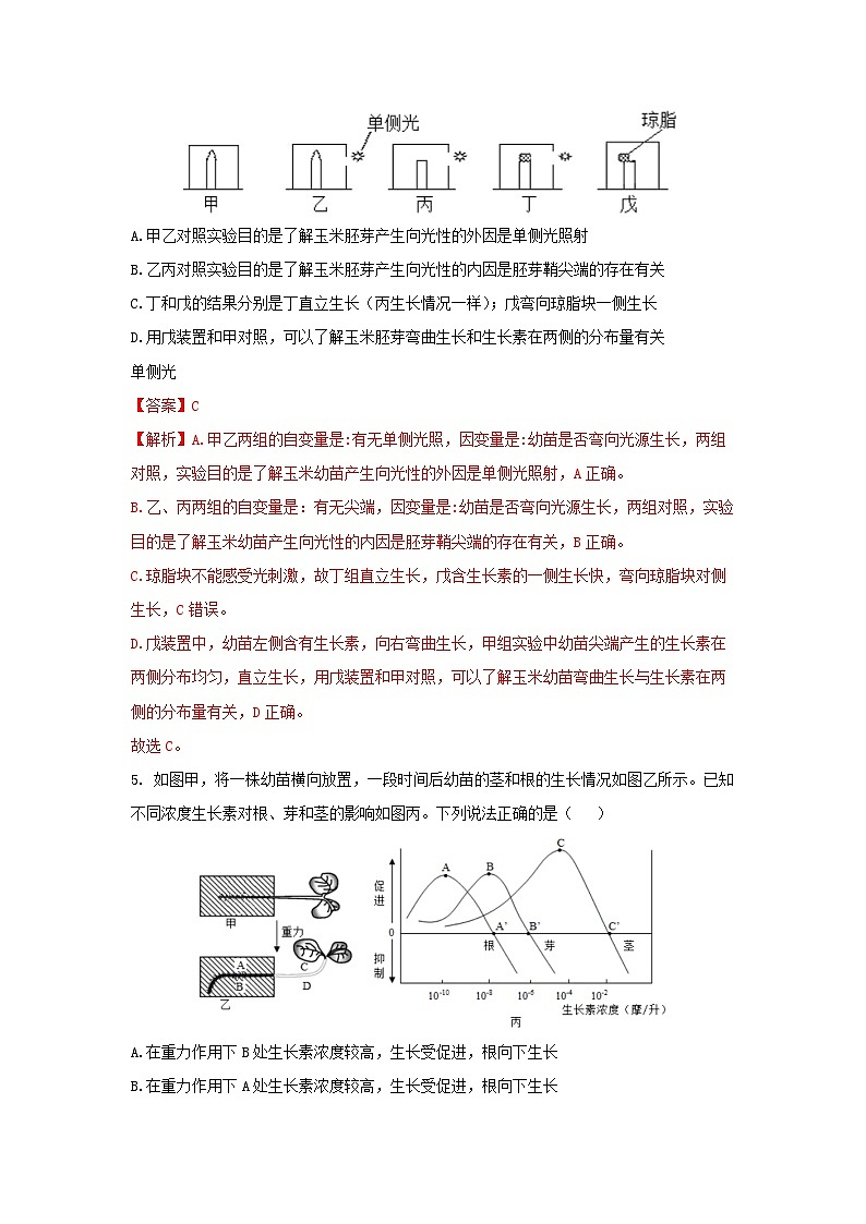 【浙教版】八上科学  3.1 植物生命活动的调节（第2课时）（课件+教案+导学案+同步练习）03