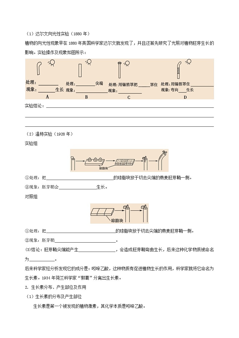 【浙教版】八上科学  3.1 植物生命活动的调节（第2课时）（课件+教案+导学案+同步练习）02