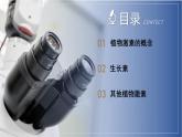 【浙教版】八上科学  3.1 植物生命活动的调节（第2课时）（课件+教案+导学案+同步练习）