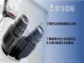 【浙教版】八上科学  3.1 植物生命活动的调节（第2课时）（课件+教案+导学案+同步练习）