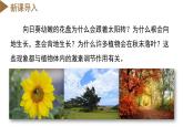 【浙教版】八上科学  3.1 植物生命活动的调节（第2课时）（课件+教案+导学案+同步练习）