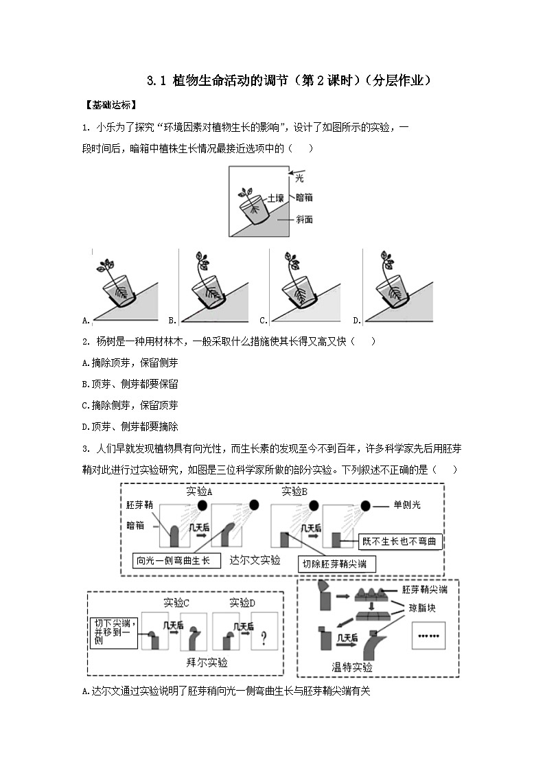 【浙教版】八上科学  3.1 植物生命活动的调节（第2课时）（课件+教案+导学案+同步练习）01