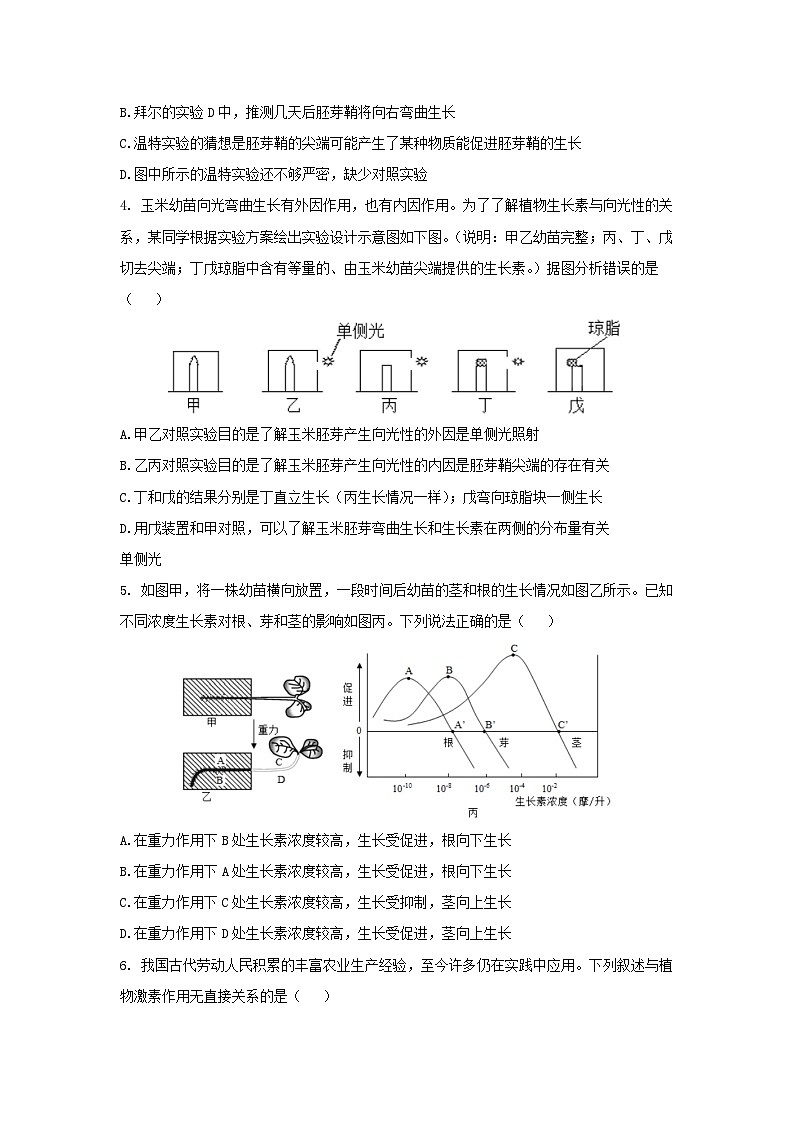 【浙教版】八上科学  3.1 植物生命活动的调节（第2课时）（课件+教案+导学案+同步练习）02