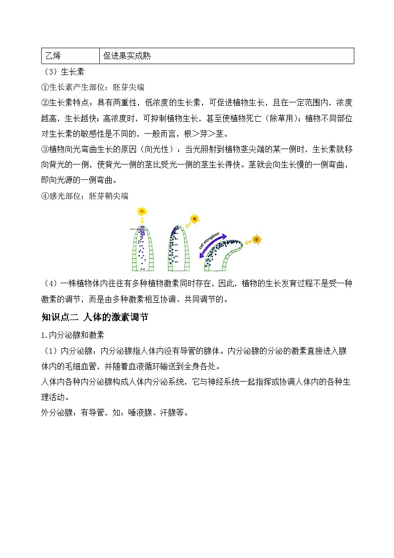 【浙教版】八上科学  第3章 生命活动的调节 单元复习（课件+知识清单+单元测试卷）03