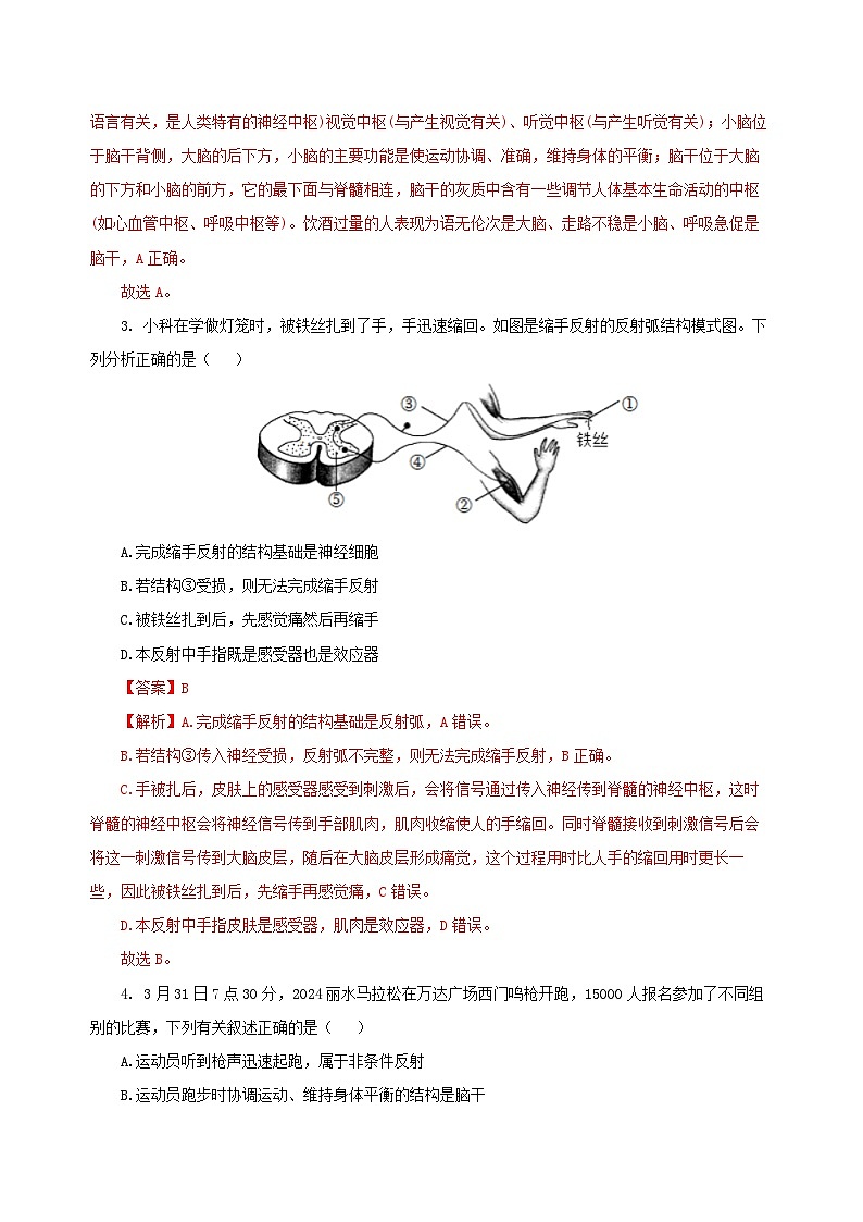 【浙教版】八上科学  第3章 生命活动的调节 单元复习（课件+知识清单+单元测试卷）02