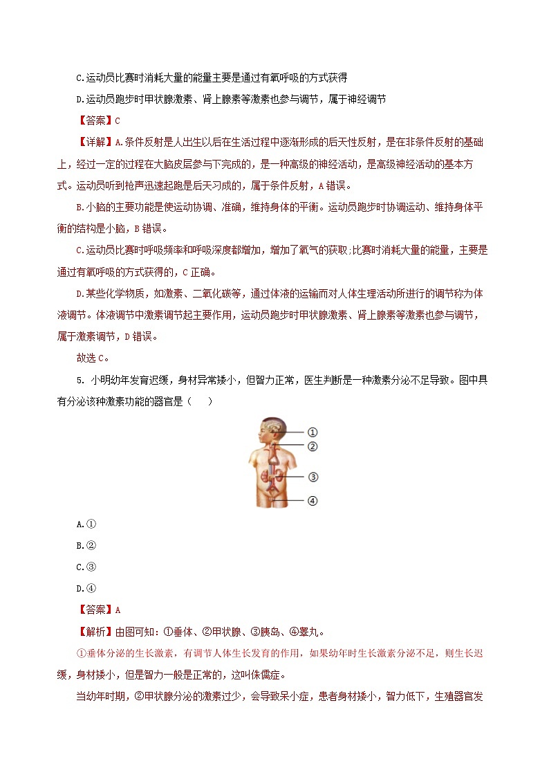 【浙教版】八上科学  第3章 生命活动的调节 单元复习（课件+知识清单+单元测试卷）03