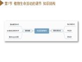 【浙教版】八上科学  第3章 生命活动的调节 单元复习（课件+知识清单+单元测试卷）