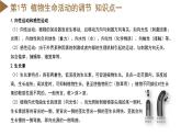 【浙教版】八上科学  第3章 生命活动的调节 单元复习（课件+知识清单+单元测试卷）
