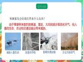 【新课标】浙教版科学八年级上册2.7《我国的气候特征与主要气象灾害》（第2课时）课件+素材