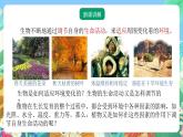 【新课标】浙教版科学八年级上册3.1《植物生命活动的调节》（第1课时）课件+素材