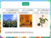 【新课标】浙教版科学八年级上册3.1《植物生命活动的调节》（第2课时）课件+素材