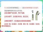 【新课标】浙教版科学八年级上册3.1《植物生命活动的调节》（第2课时）课件+素材