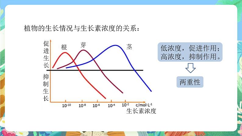 【新课标】浙教版科学八年级上册3.1《植物生命活动的调节》（第2课时）课件+素材07