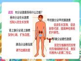 【新课标】浙教版科学八年级上册3.2《人体的激素调节》课件