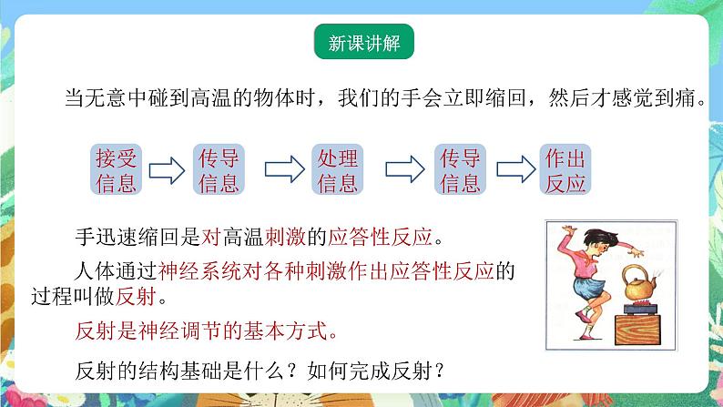 【新课标】浙教版科学八年级上册3.3《神经调节》（第3课时）课件03