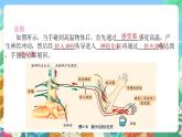 【新课标】浙教版科学八年级上册3.3《神经调节》（第3课时）课件