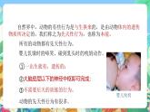 【新课标】浙教版科学八年级上册3.4《动物的行为》课件+素材