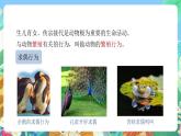 【新课标】浙教版科学八年级上册3.4《动物的行为》课件+素材