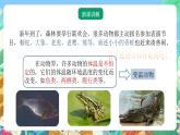 【新课标】浙教版科学八年级上册3.5《体温的控制》课件+素材