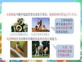 【新课标】浙教版科学八年级上册3.5《体温的控制》课件+素材