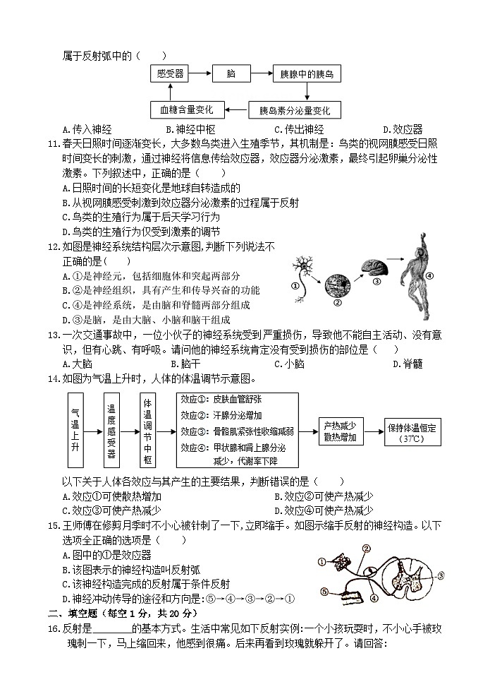 【阶段测试6】浙教版科学八年级上册 第三章 生命活动的调节 第3节-第5节 阶段测试6卷 原卷第2页