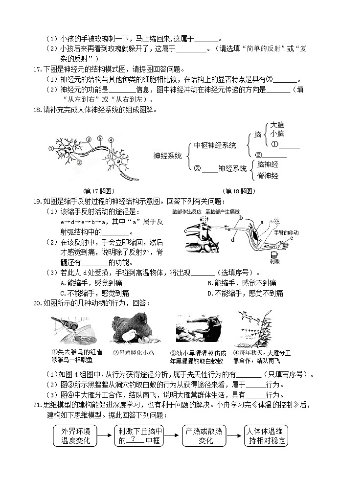 【阶段测试6】浙教版科学八年级上册 第三章 生命活动的调节 第3节-第5节 阶段测试6卷 原卷第3页
