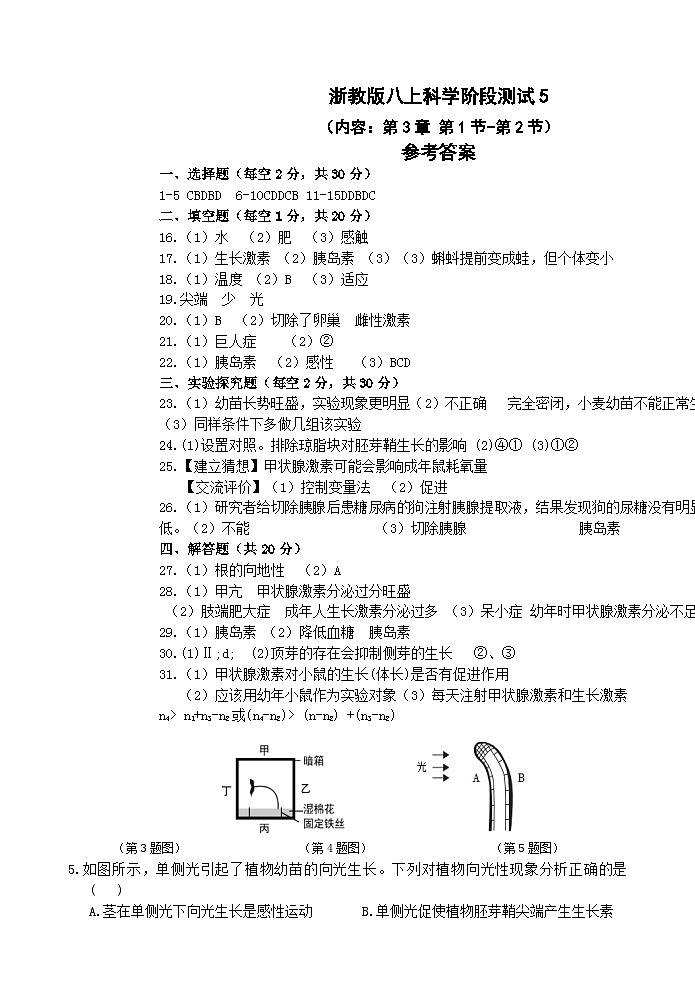 【阶段测试7】浙教版科学八年级上册 第3章 生命活动的调节 第6节-第7节阶段测试7卷（原卷+答案+答题卷）02