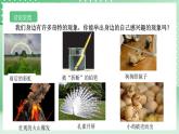 【核心素养】浙教版科学七年级上册 1.1《科学并不神秘》课件+教案+学案+素材