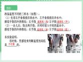 【核心素养】浙教版科学七年级上册 1.2《科学测量》（第3课时）课件+教案+学案+素材