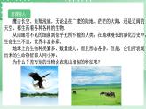 【核心素养】浙教版科学七年级上册 2.1《生物体的基本单位》（第1课时）课件+教案+学案+素材
