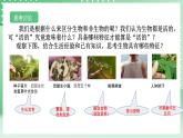 【核心素养】浙教版科学七年级上册 2.1《生物体的基本单位》（第1课时）课件+教案+学案+素材