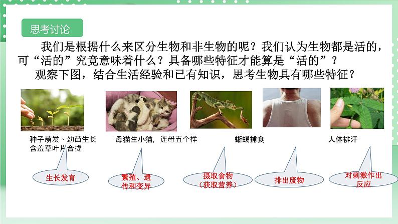 【核心素养】浙教版科学七年级上册 2.1《生物体的基本单位》（第1课时）课件+教案+学案+素材05