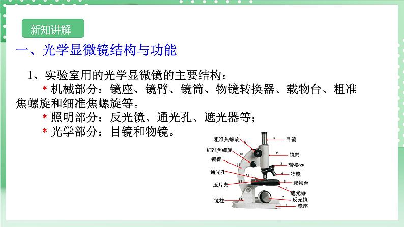 【核心素养】浙教版科学七年级上册 2.1《生物体的基本单位》（第2课时）课件+教案+学案+素材04