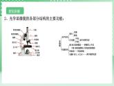 【核心素养】浙教版科学七年级上册 2.1《生物体的基本单位》（第2课时）课件+教案+学案+素材