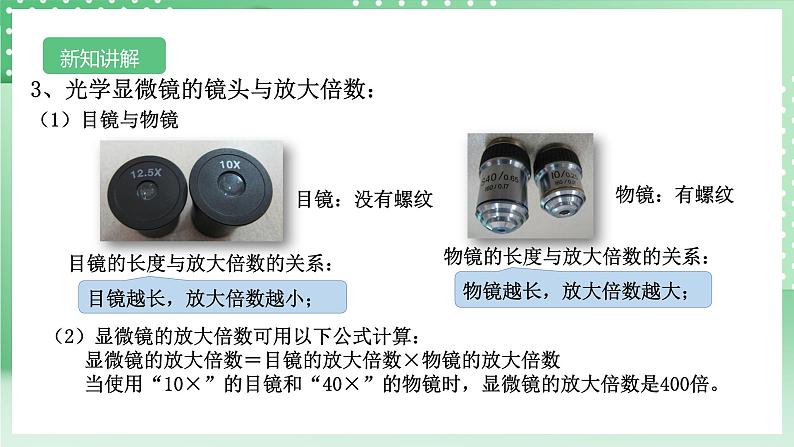 【核心素养】浙教版科学七年级上册 2.1《生物体的基本单位》（第2课时）课件+教案+学案+素材06