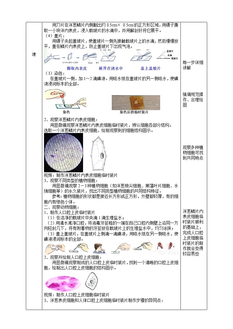 【核心素养】浙教版科学七年级上册 2.1《生物体的基本单位》（第3课时）课件+教案+学案+素材02