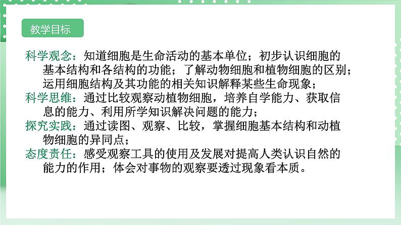 【核心素养】浙教版科学七年级上册 2.1《生物体的基本单位》（第4课时）课件+教案+学案+素材02