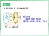 【核心素养】浙教版科学七年级上册 2.1《生物体的基本单位》（第4课时）课件+教案+学案+素材