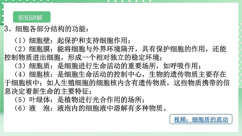 【核心素养】浙教版科学七年级上册 2.1《生物体的基本单位》（第4课时）课件+教案+学案+素材08