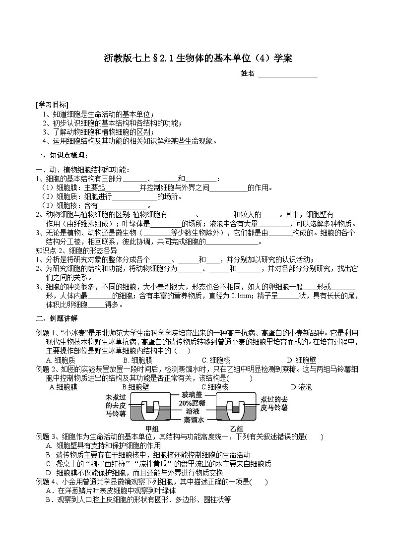 【核心素养】浙教版科学七年级上册 2.1《生物体的基本单位》（第4课时）课件+教案+学案+素材01