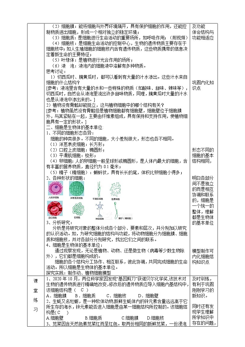 【核心素养】浙教版科学七年级上册 2.1《生物体的基本单位》（第4课时）课件+教案+学案+素材02