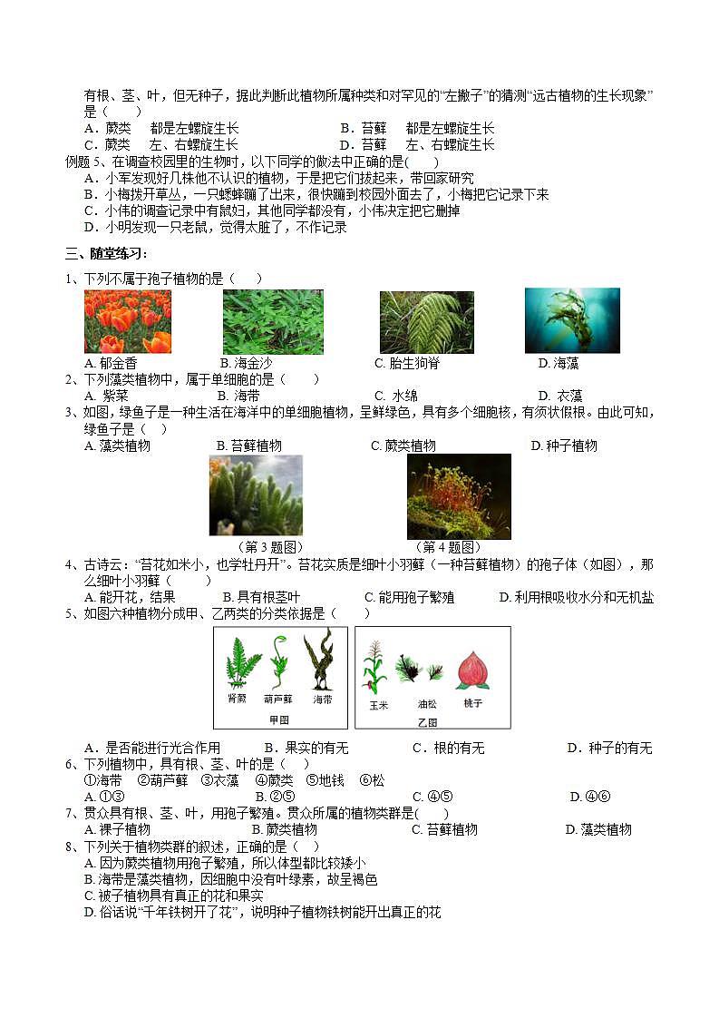 【核心素养】浙教版科学七年级上册 2.2《形形色色的植物》（第1课时）课件+教案+学案+素材02