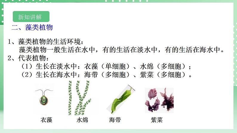 【核心素养】浙教版科学七年级上册 2.2《形形色色的植物》（第1课时）课件+教案+学案+素材07