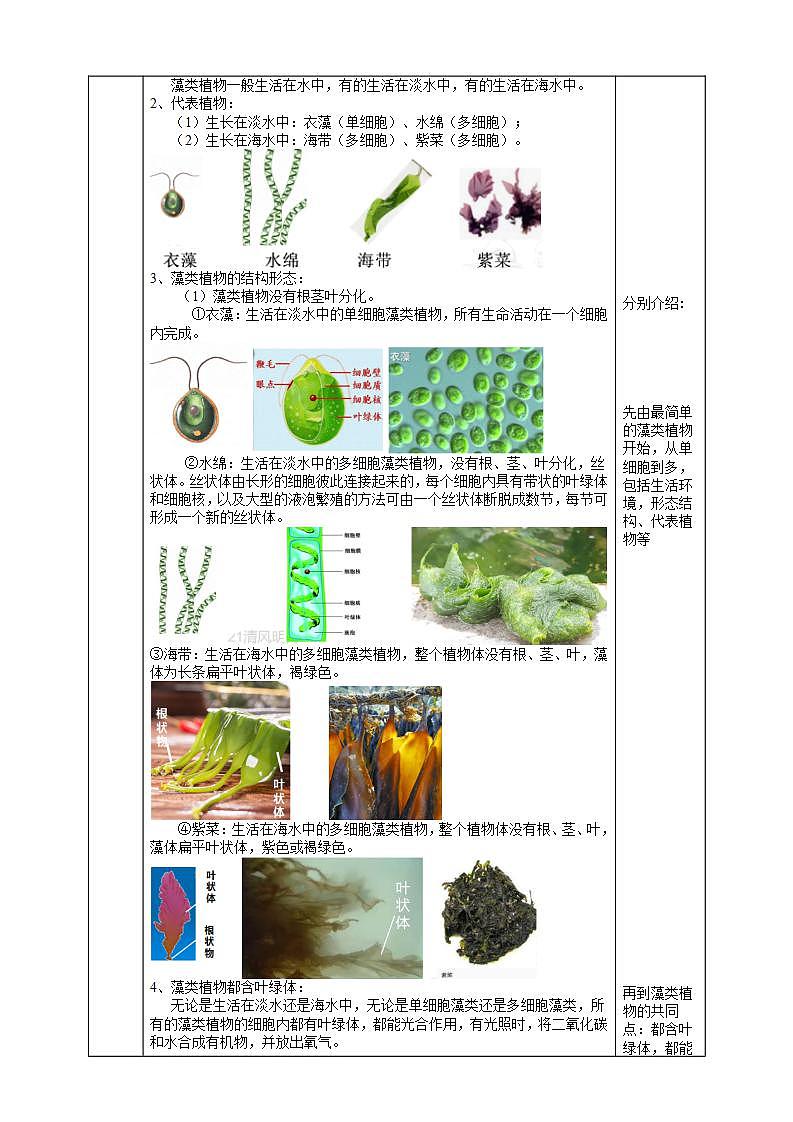 【核心素养】浙教版科学七年级上册 2.2《形形色色的植物》（第1课时）课件+教案+学案+素材02