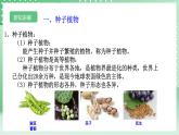 【核心素养】浙教版科学七年级上册 2.2《形形色色的植物》（第2课时）课件+教案+学案+素材