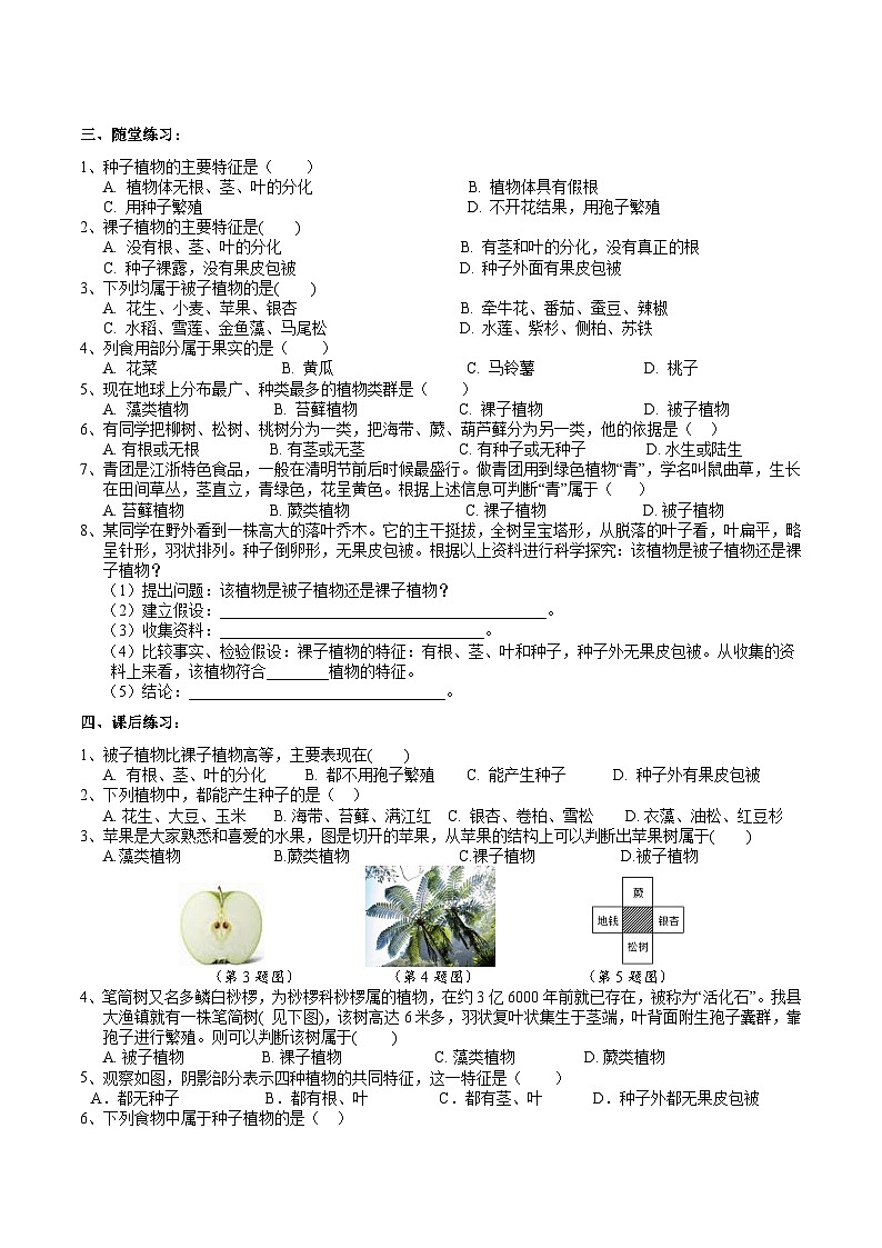 【核心素养】浙教版科学七年级上册 2.2《形形色色的植物》（第2课时）课件+教案+学案+素材02