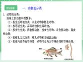 【核心素养】浙教版科学七年级上册 2.3《多姿多彩的动物》（第1课时）课件+教案+学案+素材
